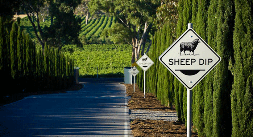 Hugh Hamilton Wines Vineyard